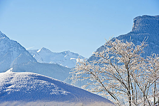 冬季风景,提洛尔,奥地利