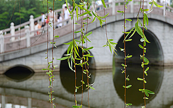 小桥流水