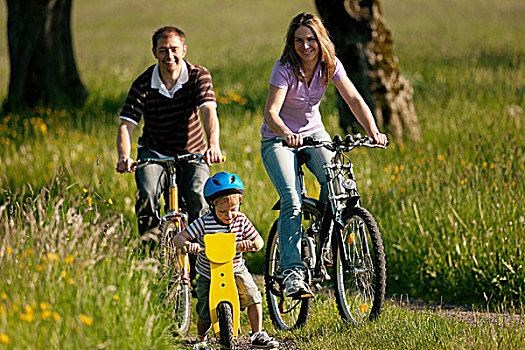 家庭,旅游,自行车,美好,风景,儿子,孩子,骑,训练