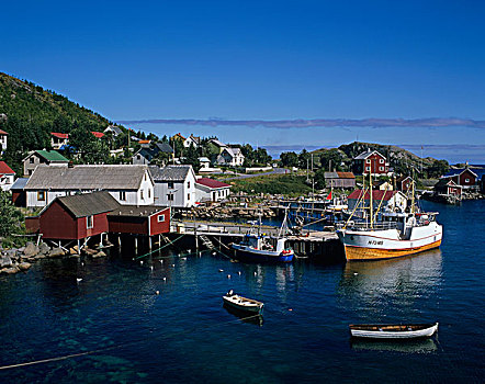 渔船,港口,岛屿,罗浮敦群岛,挪威,斯堪的纳维亚,欧洲