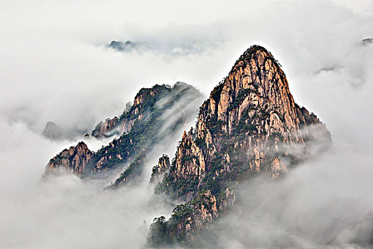 黃山奇松怪石