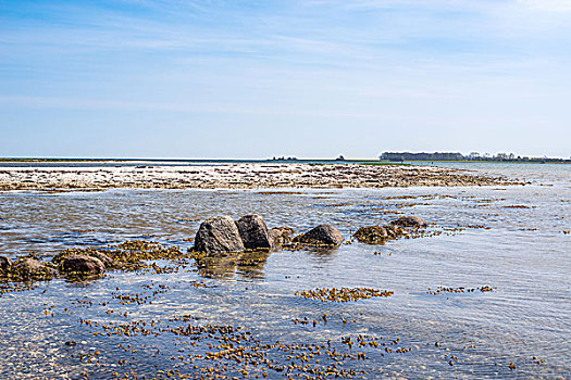 海岸,石头,水,白天