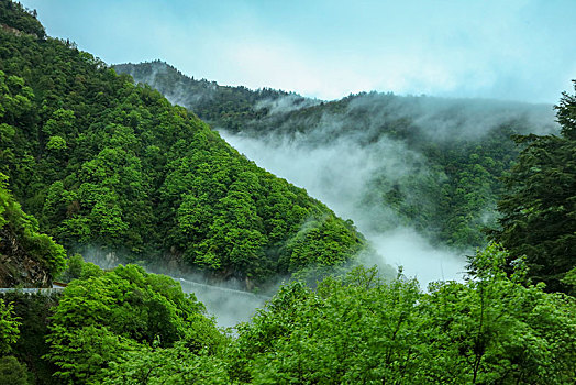 神农架,神农顶,风景,景点,旅游,高山,瀑布,河流,神秘,树木,植被,石头,鄂西,云海,峡谷,壮观