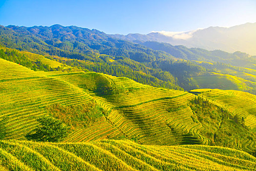 中国广西桂林龙脊梯田日照美景