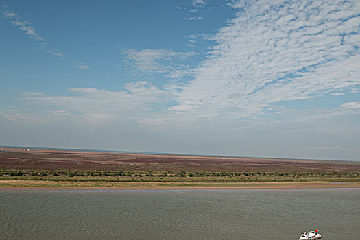 黄河入海口