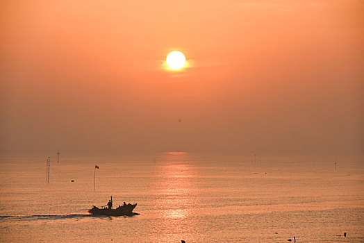 晨光中海上牧场