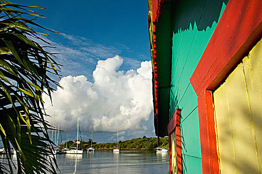 彩色,建筑,棕榈树,船,蓝色,湾,胜地,格林纳达,加勒比海