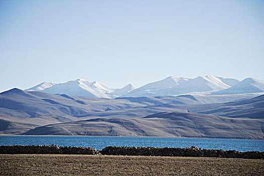 湖,山麓,喜馬拉雅山,拉達克,印度
