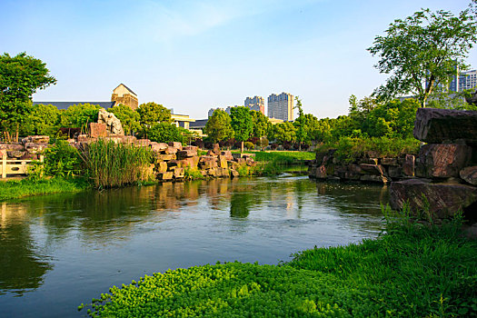 护校河,小河,绿化