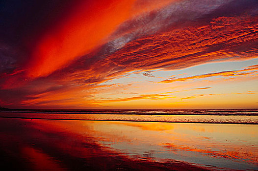 空,海滩,生动,橙色天空,日落,圣地亚哥,加利福尼亚,美国