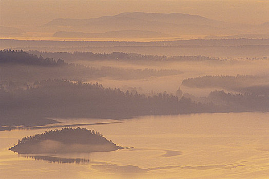 树林,遮盖,雾,手臂,半岛,温哥华岛,不列颠哥伦比亚省,加拿大