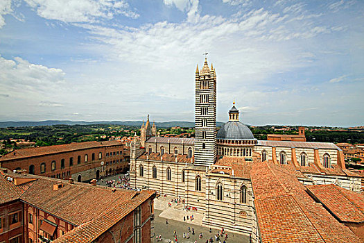 大教堂,圣母升天教堂,风景,墙壁,锡耶纳,托斯卡纳,意大利,欧洲