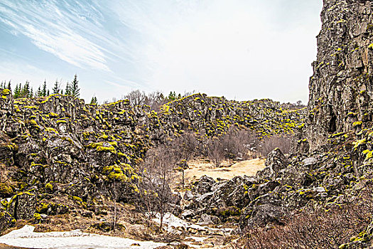 苔藓,悬崖,国家公园,冰岛
