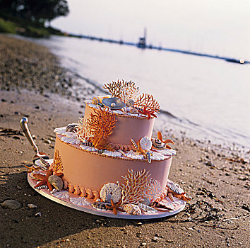 海滩,婚礼蛋糕,沙子