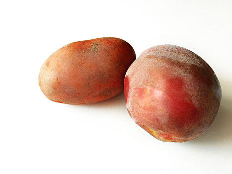 土豆,红皮洋芋