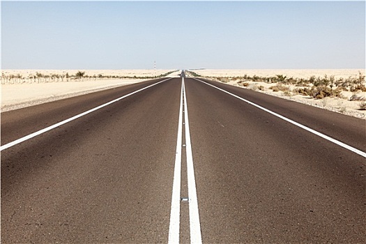 沙漠,公路,阿布扎比,阿联酋