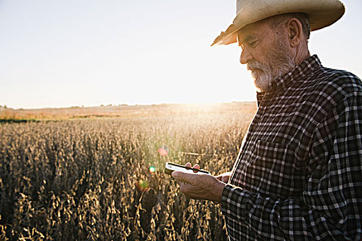 老头,农民,读,短信,智能手机,密苏里,美国