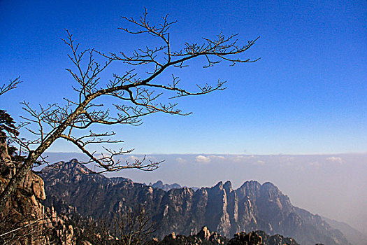 黄山