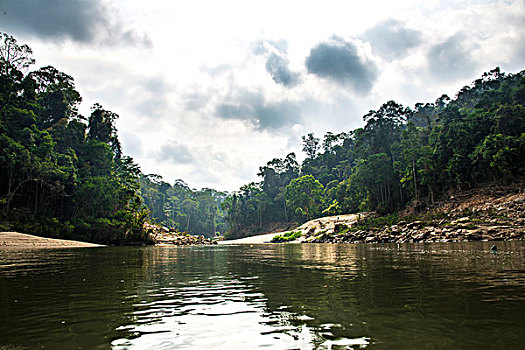 河,雨林,丛林,马来西亚,亚洲