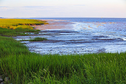 海水,水面,阳光,蓝天,云彩,滩涂,海浪,草