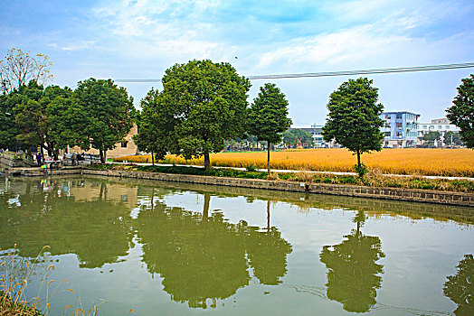 海曙,古林镇,蜃蛟庄园,古村,老房子