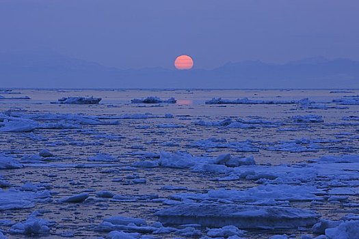 日出,浮冰,知床半岛