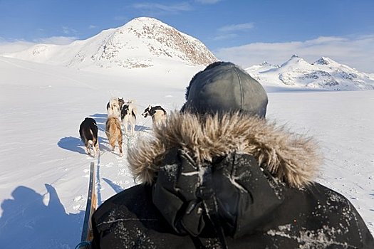 狗拉雪橇,格陵兰