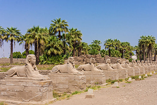 埃及,狮身人面像