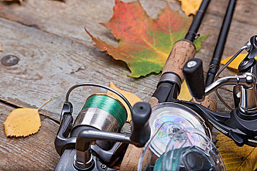 钓鱼,木板,叶子,秋天
