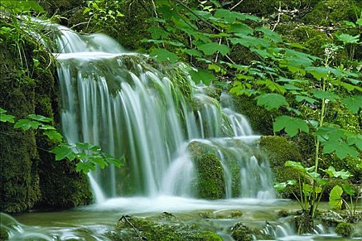 瀑布,树林,十六湖国家公园,克罗地亚