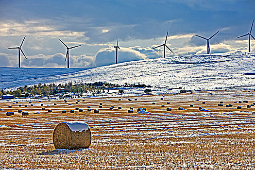 干草包,积雪,风车,南方,艾伯塔省,加拿大