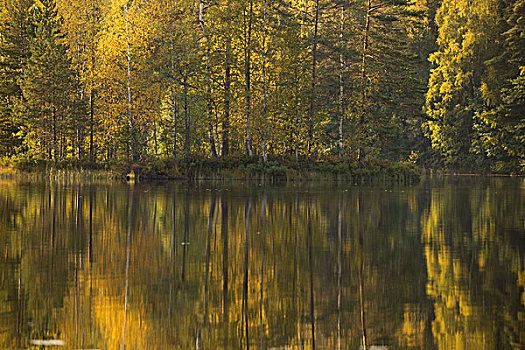 秋色,反射,湖,表面