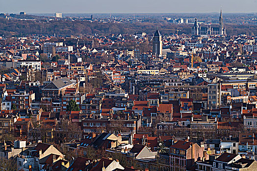 比利时,布鲁塞尔,大教堂,城市天际线,风景,屋顶