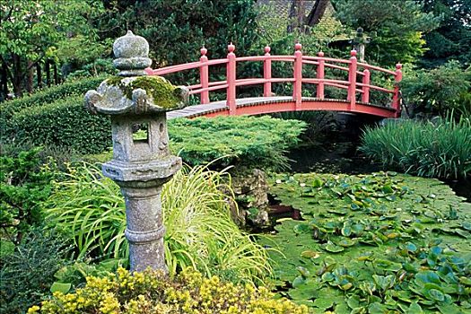 桥,上方,水塘,日本,花园,爱尔兰