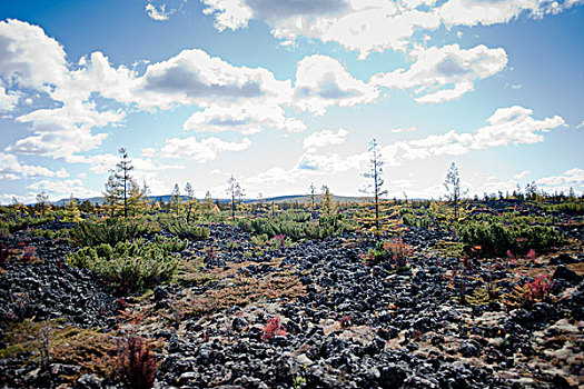 阿尔山地质公园火山地貌风景