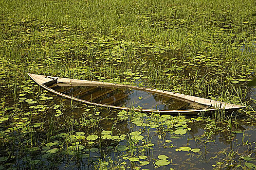 低劣,老,船,左边,沼泽,乡村,孟加拉,七月,2007年