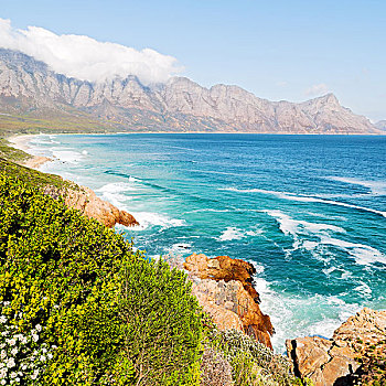 模糊,南非,海岸线,印度洋,靠近,山,海滩,灌木