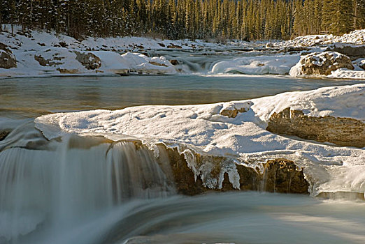 艾伯塔省,加拿大,雪,上方,肘,瀑布,河,冬天