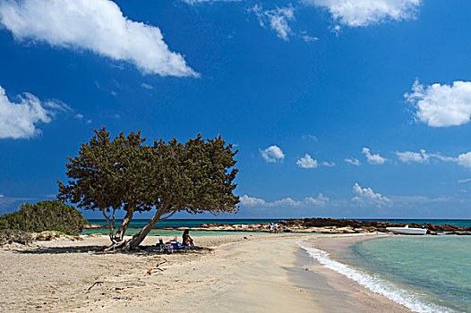 海滩,西南,海岸,克里特岛,希腊,欧洲