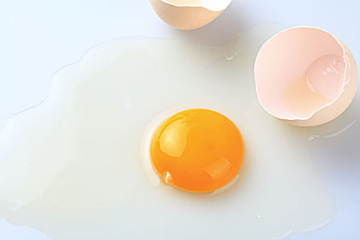 鸡蛋创意