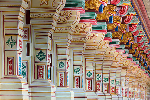 涂绘,柱子,庙宇,岛屿,泰米尔纳德邦,印度,亚洲
