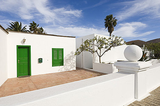 房子,棕榈树,兰索罗特岛,加纳利群岛,西班牙