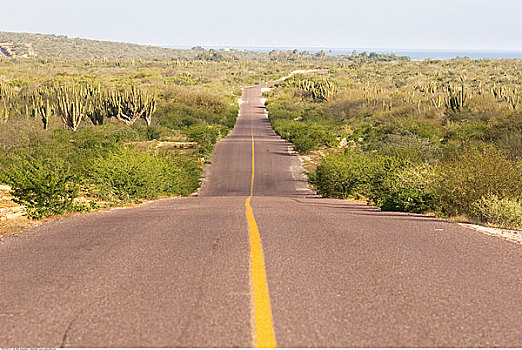 道路,风景,墨西哥