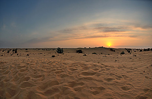 日落,蓝天,云,上方,沙丘,撒哈拉沙漠