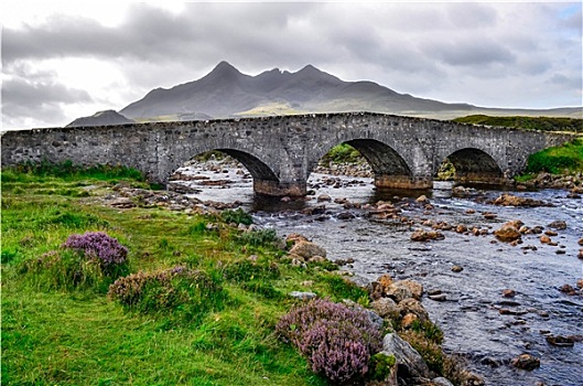桥,山,背景,苏格兰