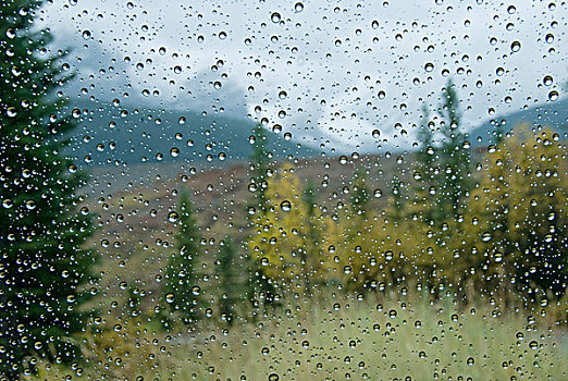 雨滴,车窗,艾伯塔省,加拿大