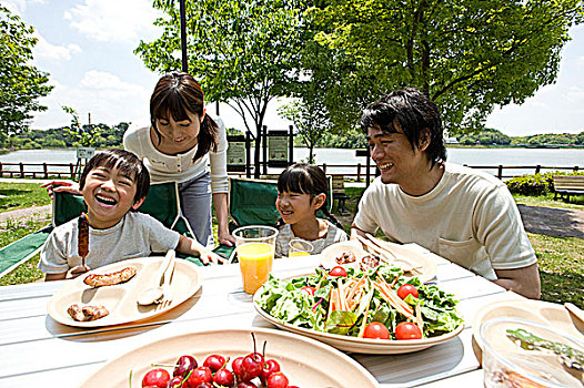 家庭,吃,野餐