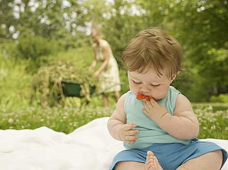 男婴,坐,花园,花,嘴