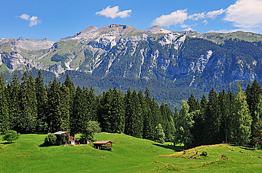 阿尔卑斯草甸,小屋,靠近,瑞士,欧洲
