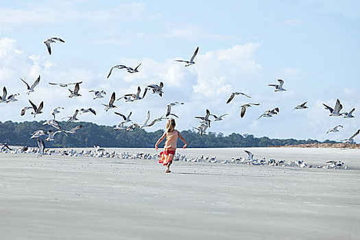 女孩,跑,海滩,海鸥